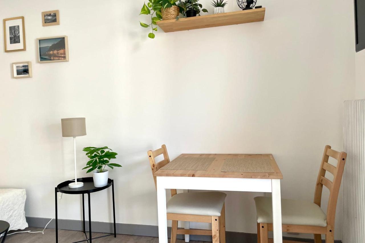 #Dd L'Ecrin Studio Ile Verte Balcony Grenoble Exterior photo